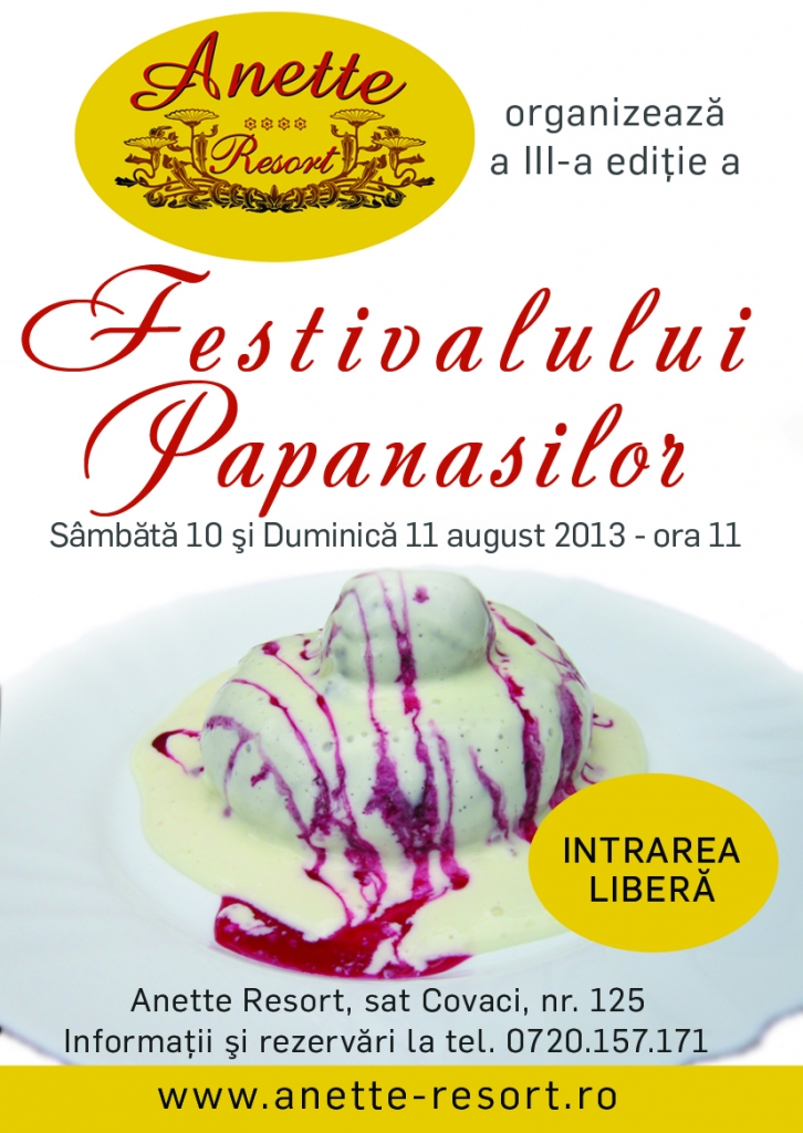 afis festivalul papanasilor 2013